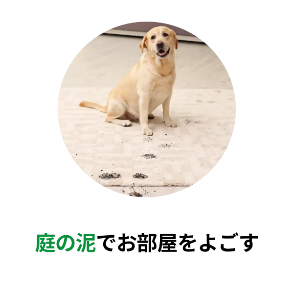 庭の泥でお部屋をよごす